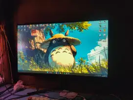 Monitor Enlight 22
