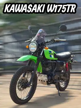 Kawasaki W175TR  2022