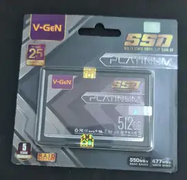 SSD Vgen Platinum 512gb news