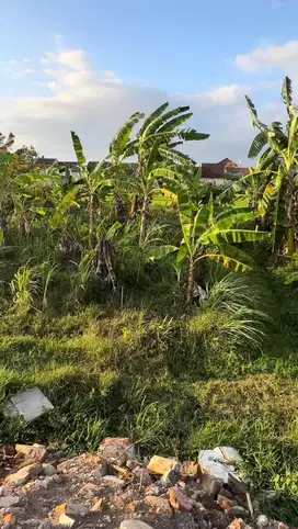 Dijual tanah pekarangan dekat Kampus UAD 4/Terpadu
