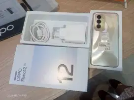 Oppo Reno 12 5G 12/256GB