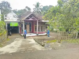 KELURAHAN PANGLUNGAN, WONOSALAM JOMBANG