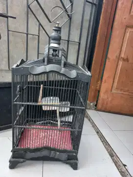 Jual sangkar Kandang burung kecil