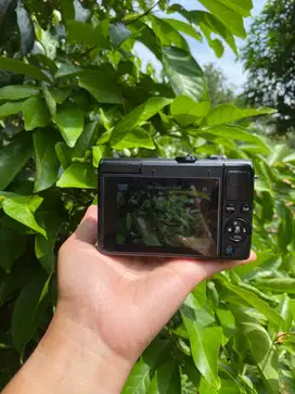 canon m100 kamera mirrorless
