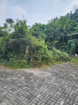 Tanah Pekarangan di Jl Damai Ngaglik 065990 jd2508