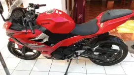 ninja RR 250 Cc mono