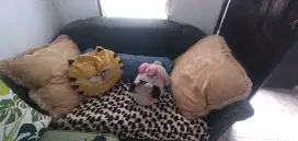 Sofa duduk santai