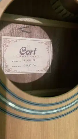 Gitar Akustik Elektrik Cort Original