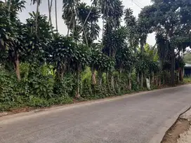 JUAL TANAH MURAH - CIANJUR