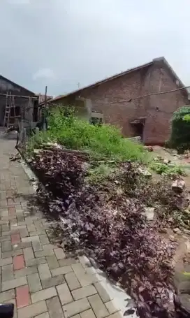 DIJUAL TANAH DI SAMBIROTO DEKAT JALAN RAYA KEDUNGMUNDU SEMARANG