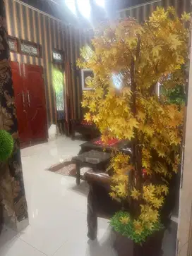 Dijual rumah dibukit lama