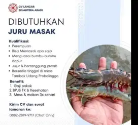 Lowongan Kerja Juru Masak / ART