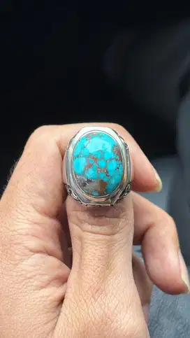pirus persia lawasan blue fancy semi krikil