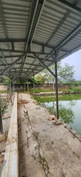 Dijual Murah BU