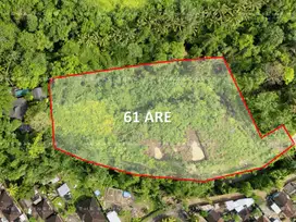TRANQUIL RIVERFRONT LAND IN KABA KABA, TABANAN – READY FOR DEVELOPMENT