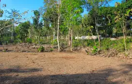 SPACIOUS FREEHOLD LAND IN ULUWATU: IDEAL RESIDENTIAL OPPORTUNITY