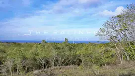 URGENT SALE STUNNING OCEAN VIEW LAND IN NUSA DUA