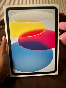 Ipad gen 10 256