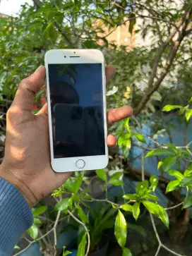 Iphone 7 32gb gold
