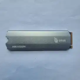 SSD NVME M.2 HIKVISION CRIUS E2000 With Heatsink