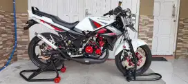 Ninja R albino 2013
