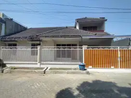 RUMAH KOS ADA BASEMENT AREA SUHAT 2 LANTAI