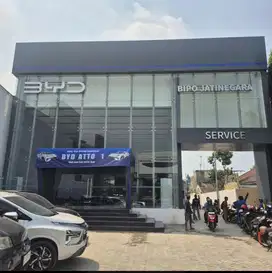 Sales Consultant