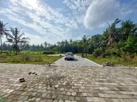Tanah Murah di Pengasih, Dekat Bandara YIA, SHM Aman