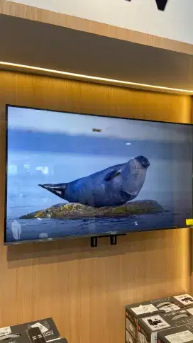 Xiomi Tv 43 A pro 2025 Qled
Uk