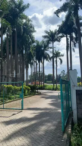Lahan strategis untuk bangun pabrik atau gudang di Bitung Tangerang