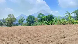 TANAH VIEW SANGAT ISTIMEWA