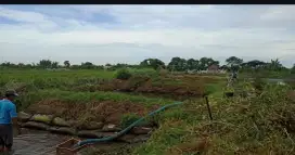 Djual cepat tanah di kmpung lele
