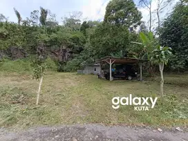 TANAH KEBUN DI RAYA BATURITI TABANAN, BALI