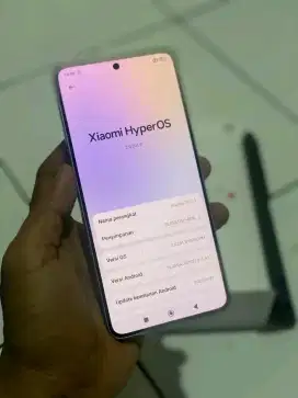 Xiaomi 14T 12/256GB