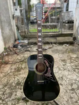 Ibanez Acoustic 12 String JAPAN