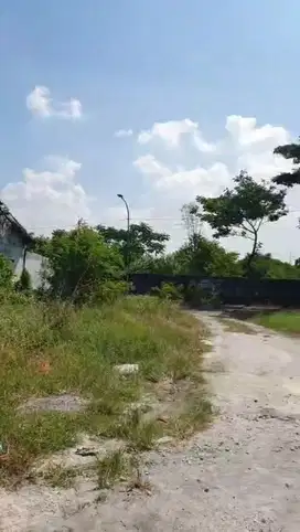 ‼️JUAL CEPAT‼️TANAH DI KLETEK TAMAN WARU SIDOARJO