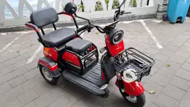 Sepeda Listrik Roda Tiga Dewasa
