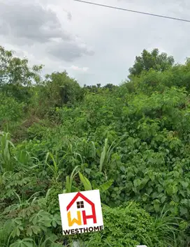DIJUAL TANAH (SHM) RAJEG TANGERANG BANTEN, TERMURAH !
