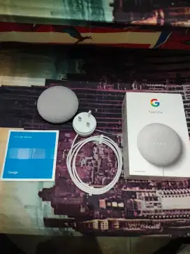 Speaker google nest mini