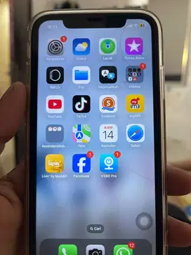 iphone 11 mulus