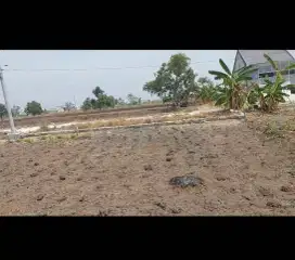 Dijual tanah di Gresik
