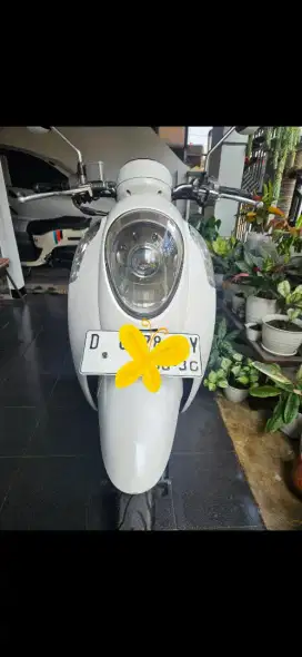 Honda Scoopy 2015