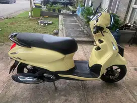Yamaha Grand Filano 2024 Gress