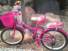 sepeda anak perempuan warna pink