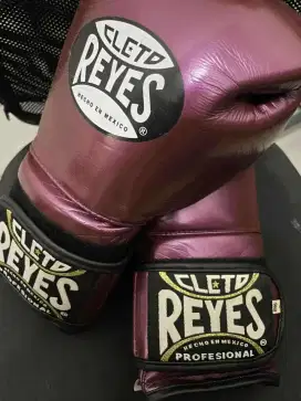 Sepatu Nike hyper KO 2 dan glove cleto Reyes