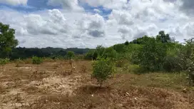 TANAH PREMIUM DI KUTA MANDALIKA