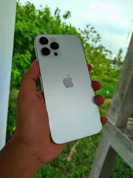 Iphone 12 Promax 256gb Beacukai