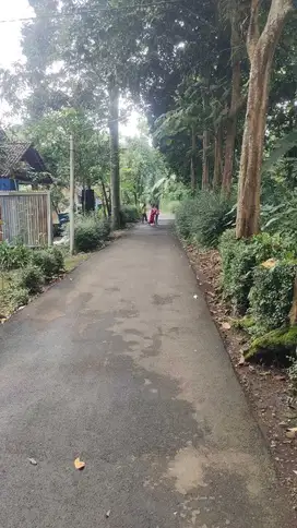 Jual Cepat Tanah di Tuntang Semarang dekat Salatiga