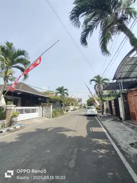 Hanya 50mter Dari Soekarno Hatta Bunga Coklat