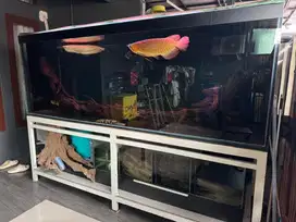 Aquarium beserta isinya